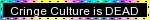 Blinkie: Cringe Culture is DEAD